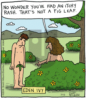 The Argyle Sweater on Wednesday July 13, 2016 Comic Strip
