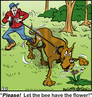 Marmaduke on Friday September 9, 2016 Comic Strip
