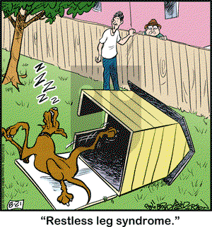 Marmaduke on Tuesday August 21, 2018 Comic Strip
