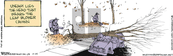 Non Sequitur - Saturday October 24, 2020 Comic Strip