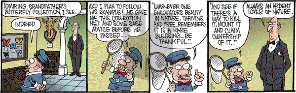 Monty on Monday June 20, 2016 Comic Strip