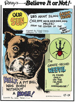 Ripley's Believe It or Not on Saturday December 19, 2009 Comic Strip