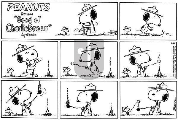 Peanuts on Sunday February 22, 1976 Comic Strip