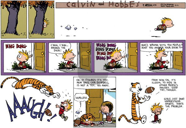 Calvin and Hobbes on Sunday October 17, 1993 Comic Strip