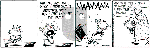 Calvin and Hobbes on Friday April 28, 1995 Comic Strip