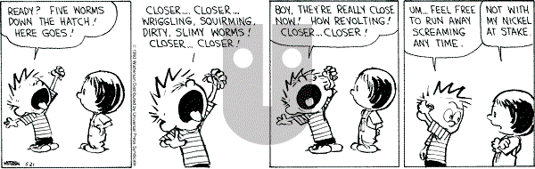 Calvin and Hobbes - Friday May 21, 1993 Comic Strip