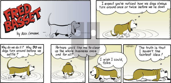 Fred Basset on Sunday June 1, 2025 Comic Strip