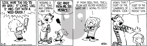 Calvin and Hobbes - Friday May 15, 1987 Comic Strip