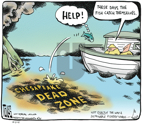 Tom Toles on Friday October 3, 2014 Comic Strip