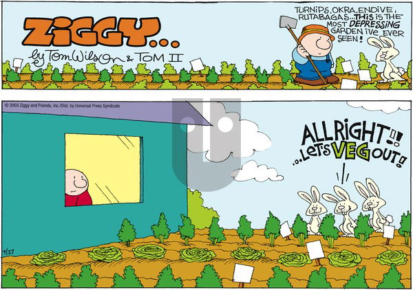 Ziggy on Sunday July 27, 2003 Comic Strip
