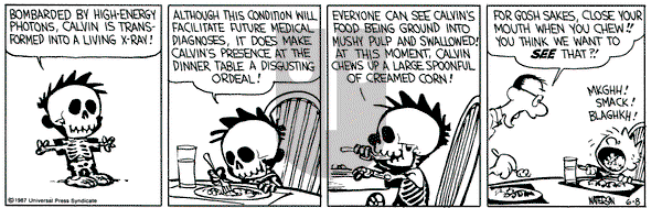 Calvin and Hobbes on Monday June 8, 1987 Comic Strip
