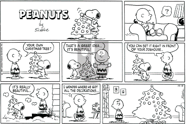 Peanuts - Sunday December 15, 1991 Comic Strip