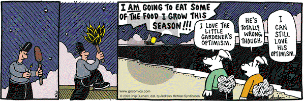 Overboard - Thursday March 26, 2020 Comic Strip