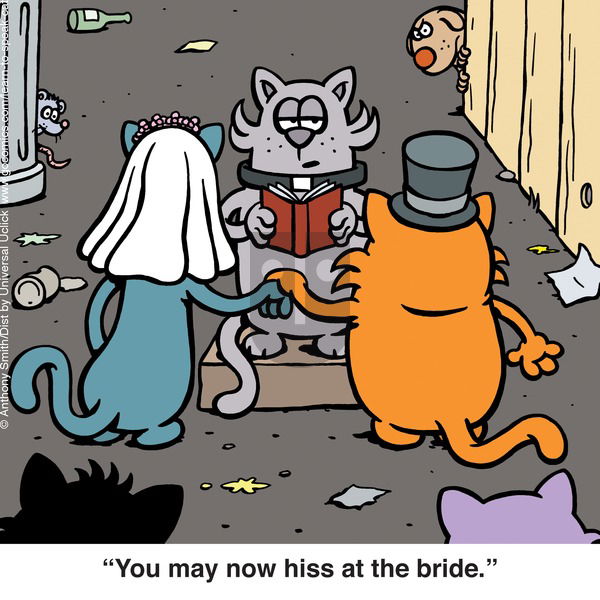 Learn to Speak Cat on Sunday May 25, 2025 Comic Strip