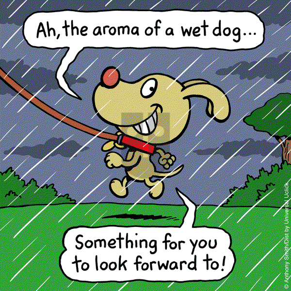 Cattitude — Doggonit on Monday May 5, 2025 Comic Strip