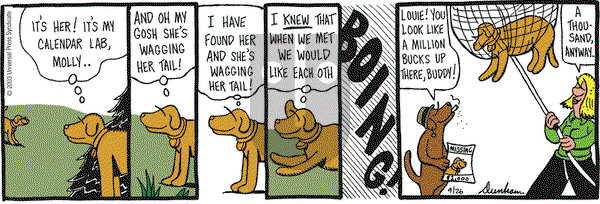 Overboard on Friday September 26, 2003 Comic Strip