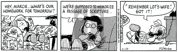 Peanuts on Tuesday January 23, 1996 Comic Strip