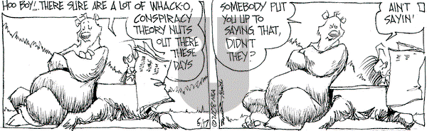 The Grizzwells on Saturday May 17, 2008 Comic Strip