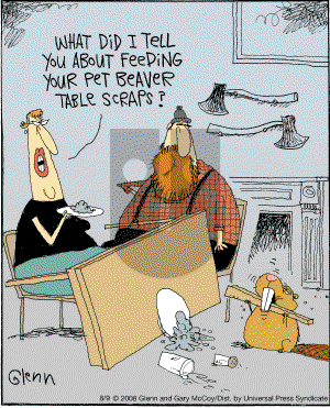 The Flying McCoys on Saturday August 9, 2008 Comic Strip