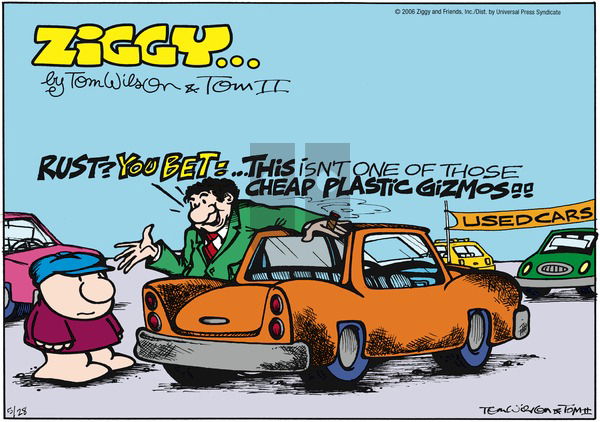 Ziggy on Sunday May 28, 2006 Comic Strip