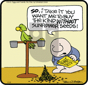 Ziggy on Wednesday November 4, 2015 Comic Strip