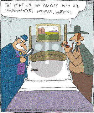 The Argyle Sweater - Thursday May 29, 2008 Comic Strip