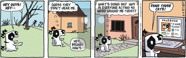 Pooch Cafe on Tuesday February 9, 2016 Comic Strip