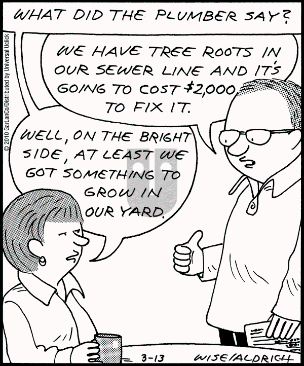 Real Life Adventures - Saturday March 13, 2010 Comic Strip