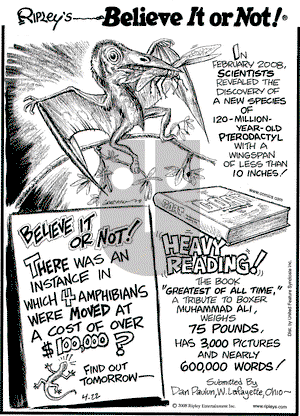 Ripley's Believe It or Not on Tuesday April 22, 2008 Comic Strip