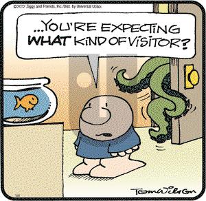 Ziggy on Wednesday January 4, 2012 Comic Strip