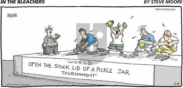 In the Bleachers - Sunday August 15, 2004 Comic Strip