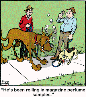 Marmaduke on Tuesday November 26, 2013 Comic Strip