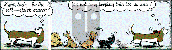 Fred Basset on Tuesday June 16, 2020 Comic Strip