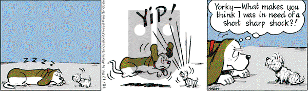 Fred Basset on Saturday October 17, 2009 Comic Strip