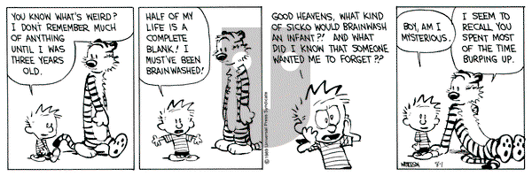 Calvin and Hobbes on Tuesday August 1, 1989 Comic Strip