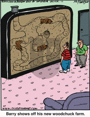 Close to Home on Friday January 8, 2016 Comic Strip