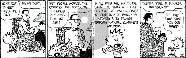 Calvin and Hobbes - Saturday August 29, 1992 Comic Strip