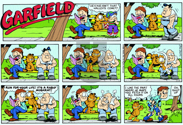 Garfield on Sunday January 17, 1988 Comic Strip