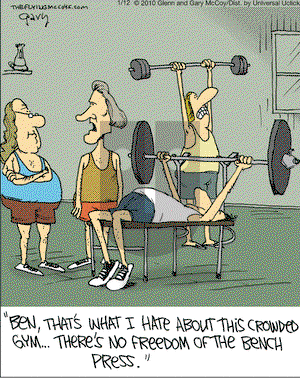 The Flying McCoys on Tuesday January 12, 2010 Comic Strip
