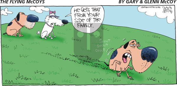 The Flying McCoys on Sunday June 17, 2018 Comic Strip