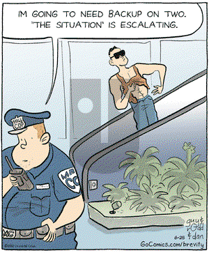 Brevity - Monday June 25, 2012 Comic Strip