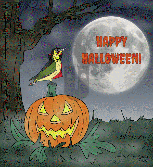 Yaffle on Friday October 31, 2025 Comic Strip