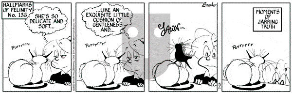 9 Chickweed Lane on Friday January 3, 2003 Comic Strip