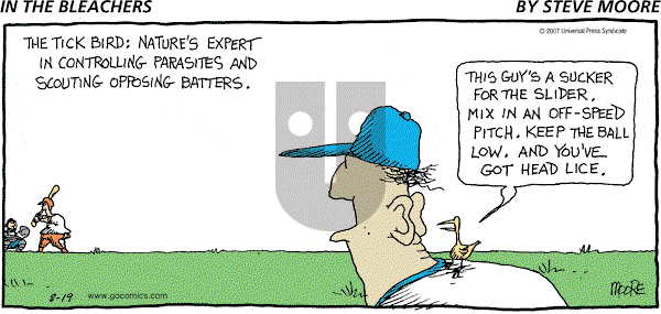 In the Bleachers on Sunday August 19, 2007 Comic Strip