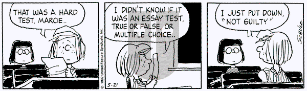 Peanuts on Thursday May 21, 1992 Comic Strip