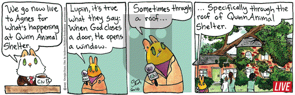 Breaking Cat News on Tuesday June 10, 2025 Comic Strip