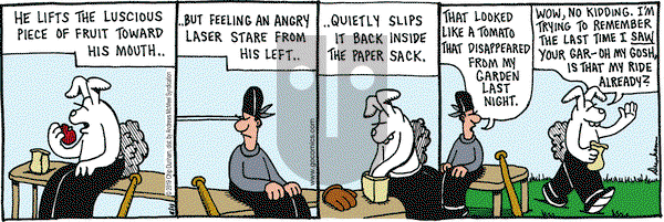 Overboard on Tuesday June 11, 2019 Comic Strip