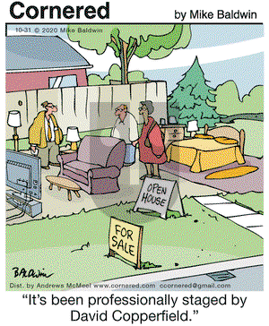 Cornered on Saturday October 31, 2020 Comic Strip