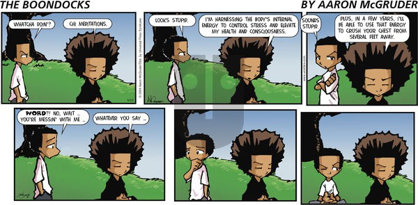The Boondocks on Sunday May 23, 2004 Comic Strip