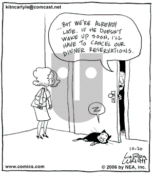 Kit 'N' Carlyle on Friday October 20, 2006 Comic Strip